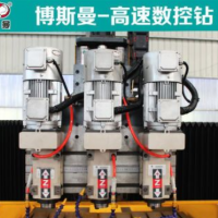 廠家直銷 小孔徑篩板自動鉆孔機 1500*2500多頭多孔數控鉆床