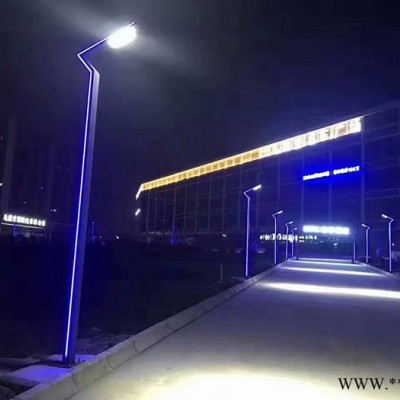 廠家專業(yè)制作 LED高亮景觀燈 小區(qū)廣場庭院燈 鋁型材景觀燈
