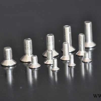 提供規(guī)格工業(yè)鋁型材配件--平機螺栓