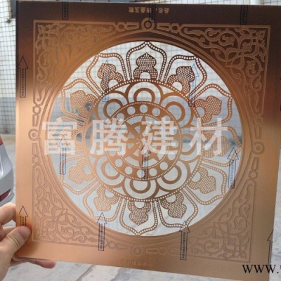 樂斯?fàn)柮倒褰痄X窗花花樣式兒童防護(hù)網(wǎng) 防盜窗 鑄花鋁窗花防護(hù)陽臺(tái)窗紗門窗訂做