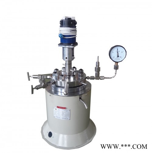 【新元化機】CJ-2型2L小劑量電阻爐電加熱耐高溫鈦材實驗室反應釜設備XYHJ-7