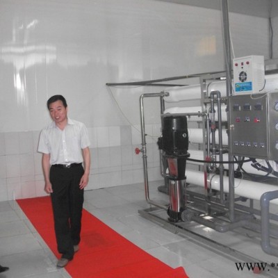 供應電泳電鍍水處理設備 純水設備 工業水處理設備