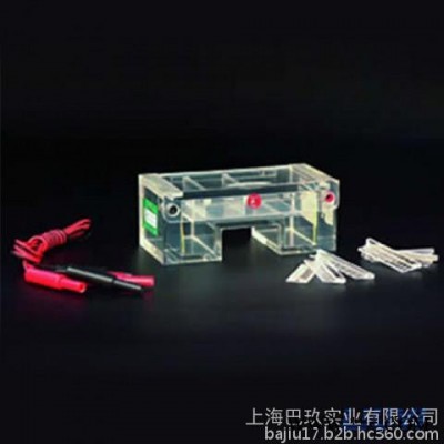 北京六一瓊脂糖水平電泳槽DYCP-31C|水平電泳儀報(bào)價(jià)|電泳儀廠家