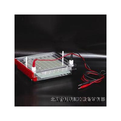 快速凝膠電泳儀 DYCP-44P型 帶有調節腿，保證制膠水平 電泳槽