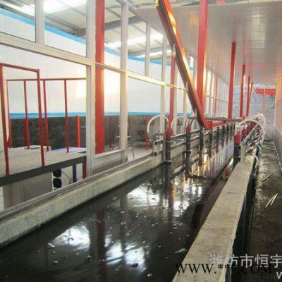 廠家專業(yè)生產(chǎn)節(jié)拍式電泳生產(chǎn)線，電泳設(shè)備