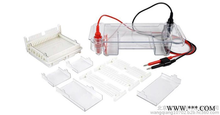 電泳槽  電泳儀  電泳儀電源   凝膠成像   化學(xué)發(fā)光