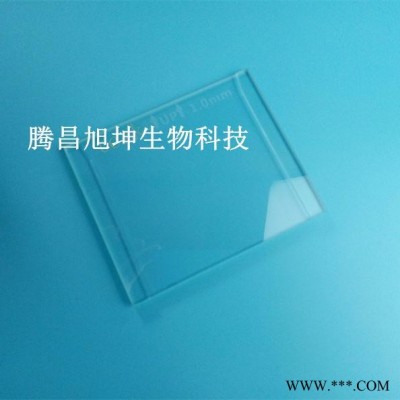 美國bio-rad伯樂電泳儀電泳制膠垂直槽厚板長板玻璃板短板薄板WB