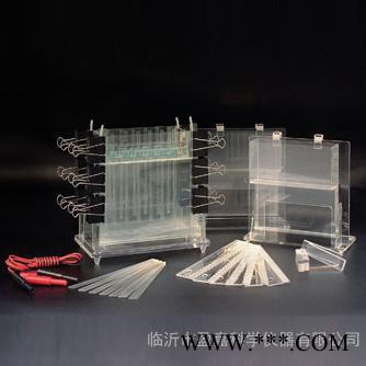 供應臨沂盈嘉DYCZ-21多用途電泳槽