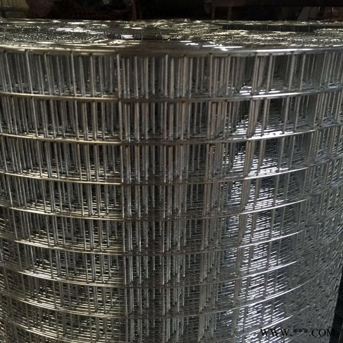 億岑直銷   電鍍鋅電焊網   抹墻鍍鋅鋼絲網   內外墻防裂網