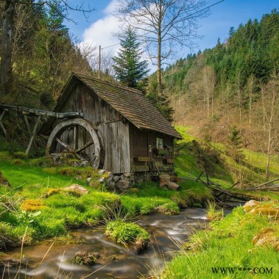 【萬水化工商城】替代進口東洋銀漿5660NS 銀漿電鍍銀鋁銀漿 非浮型銀漿 馬蹄蓮