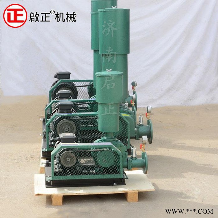 啟正CCR100 三葉羅茨式風機 電鍍行業(yè)用 節(jié)能省電的