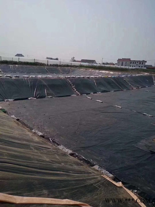 0.75mm城建標土工膜 國標防滲膜 滲濾液調節池2.0mm土工膜 防滲土工膜 氧化鋁赤泥大壩防滲膜 市政工程防滲材料