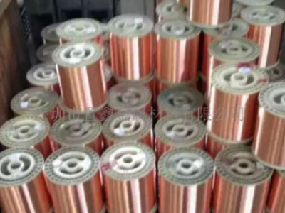 廠家直銷C1100紫銅線 紫銅絲加工定制鍍錫紫銅線0.05-0.2 電源線